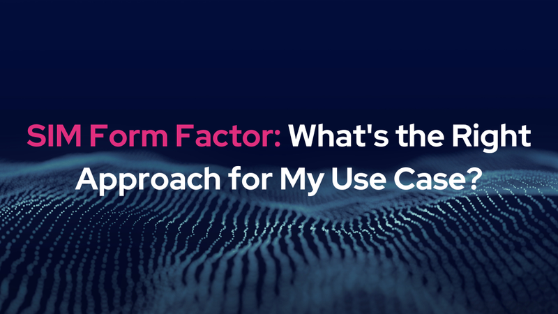 The Right Approach for My Use Case. SIM Form Factor.