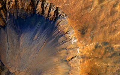 How to Survive on Mars?