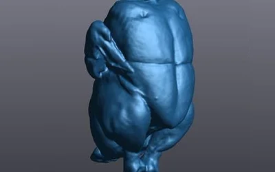 With The Go!Scan 3D You Can Get A 3D Model... In Less Time Than It Takes A Rooster To Crow!