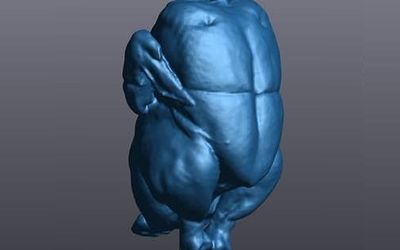 With The Go!Scan 3D You Can Get A 3D Model... In Less Time Than It Takes A Rooster To Crow!