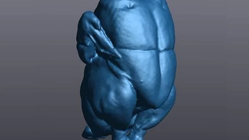With The Go!Scan 3D You Can Get A 3D Model... In Less Time Than It Takes A Rooster To Crow!