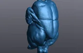 With The Go!Scan 3D You Can Get A 3D Model... In Less Time Than It Takes A Rooster To Crow!