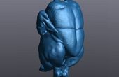 With The Go!Scan 3D You Can Get A 3D Model... In Less Time Than It Takes A Rooster To Crow!
