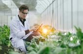 IoT drives new agricultural revolution