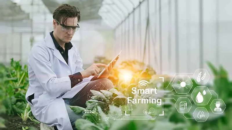 IoT drives new agricultural revolution