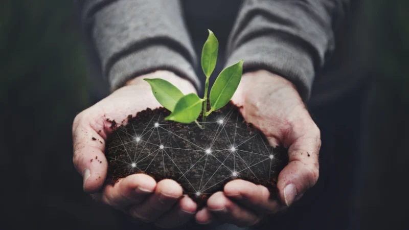 How the IoT can help create a more sustainable future