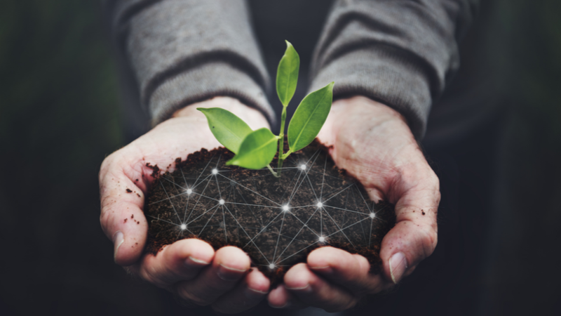 How the IoT can help create a more sustainable future