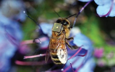 BAW filters for Performance Improvements in Wi-Fi, 5G, and RF Applications