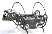 A springtail-like jumping robot