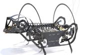 A springtail-like jumping robot