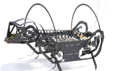 A springtail-like jumping robot