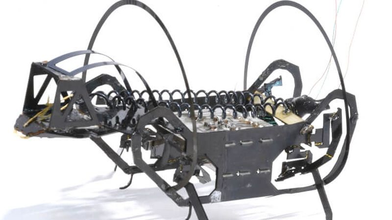 A springtail-like jumping robot