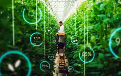 How cellular IoT can improve agricultural yield and the lives of farmers