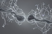 Solving brain dynamics gives rise to flexible machine learning models