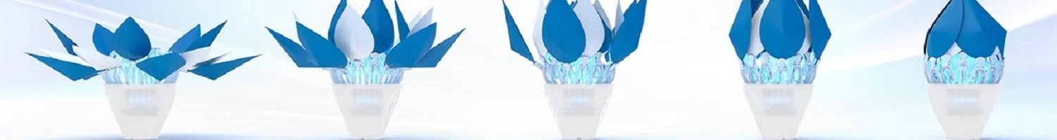 banner image