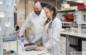 Researchers Develop Gold Nanoparticle-Based Sensors for Precise Detection of Natural Antioxidants