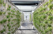 The Circle Scales Commercial Aquaponics with Custom Industrial Control Architecture