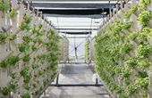 The Circle Scales Commercial Aquaponics with Custom Industrial Control Architecture