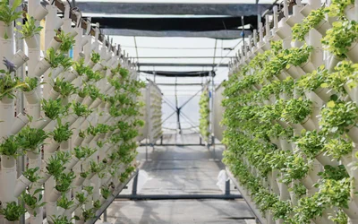 The Circle Scales Commercial Aquaponics with Custom Industrial Control Architecture