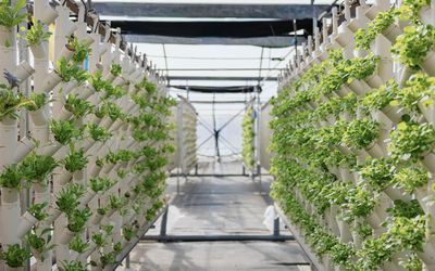 The Circle Scales Commercial Aquaponics with Custom Industrial Control Architecture