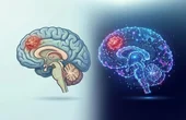 Brain tumor digital twin predicts metabolic treatment outcomes
