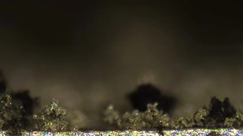 Lithium dendrites grow, shrink and break away from lithium metal electrodes. Image: Dasgupta Lab, University of Michigan