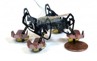 Next-generation robotic cockroach can explore underwater environments