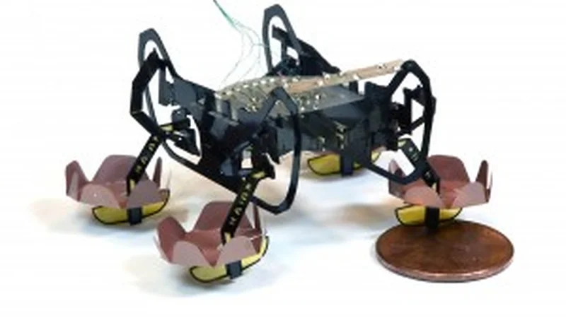The next generation of Harvard’s Ambulatory Microrobot (HAMR) can walk on land, swim on the surface of water, and walk underwater, opening up new environments for this little bot to explore.  (Credit: Yufeng Chen, Neel Doshi, and Benjamin Goldberg/Harvard University)