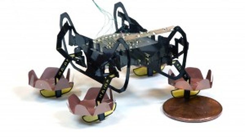 The next generation of Harvard’s Ambulatory Microrobot (HAMR) can walk on land, swim on the surface of water, and walk underwater, opening up new environments for this little bot to explore.  (Credit: Yufeng Chen, Neel Doshi, and Benjamin Goldberg/Harvard University)