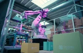 Photoneo and Jacobi Robotics Partner to Deliver AI-Powered Robotic Automation for Warehouses