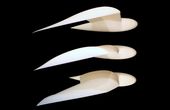Podcast: Bird-Inspired Drone Wings, Scaling Digital Twins, Tracking Microplastics From Space