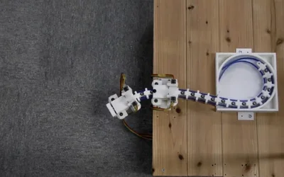 Design inspiration from woodpeckers could allow robotic arms to be bendable and extendable