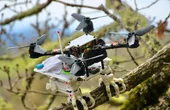 Podcast: Falcon Inspired Drones