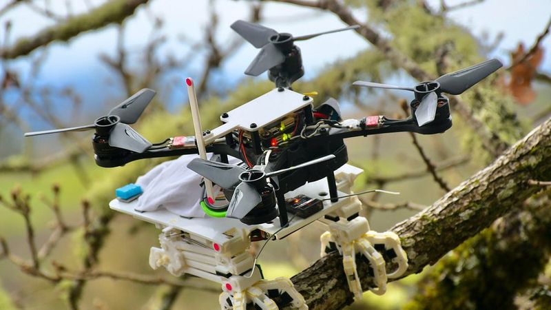Podcast: Falcon Inspired Drones