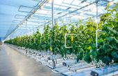 Applying Single Board Computers (SBCs) in Indoor Agriculture Applications