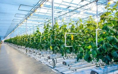 Applying Single Board Computers (SBCs) in Indoor Agriculture Applications