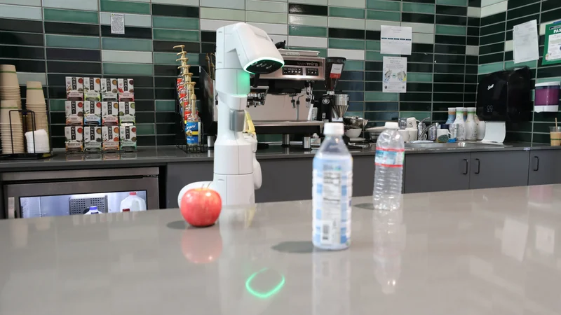 Engineers at Princeton University and Google have come up with a new way to teach robots to know when they don’t know and ask for clarification from a human. Photo by the researchers