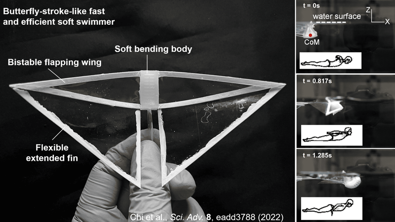 'Butterfly Bot' is Fastest Swimming Soft Robot Yet