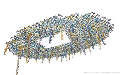 DNA Origami Suggests Route to Reusable, Multifunctional Biosensors