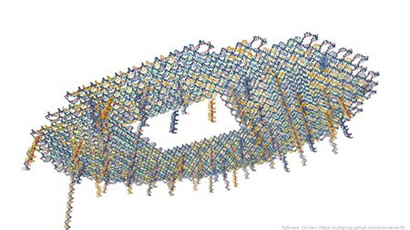 A coarse-grained model of the DNA origami lilypad used in the study. The tails hanging down indicate where redox reporters are located. For scale, the diameter of the disk is approximately 80 nm. Credit: Model: Matteo Guareschi/Caltech; Software: OxView