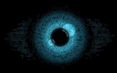 A "scientific sandbox" lets researchers explore the evolution of vision systems