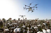 Podcast: How Robotic Farming Will Make Produce Better & Cheaper