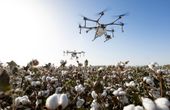 Podcast: How Robotic Farming Will Make Produce Better & Cheaper