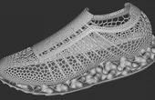 Designing a 3D Printed Shoe using nTop Platform