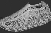 Designing a 3D Printed Shoe using nTop Platform