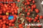 Detecting Unwanted & Hazardous Objects with Vision AI