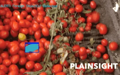 Detecting Unwanted & Hazardous Objects with Vision AI