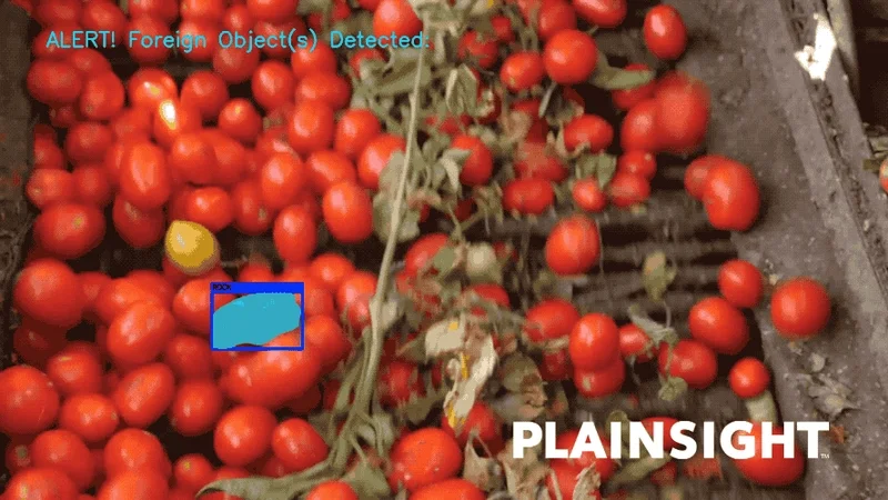Detecting Unwanted & Hazardous Objects with Vision AI