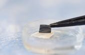 At-home melanoma testing: Skin patch test works in mice