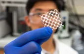 Tangled Seaweed Inspires One-Size-Fits-All Cleaners for Ocean Microplastics